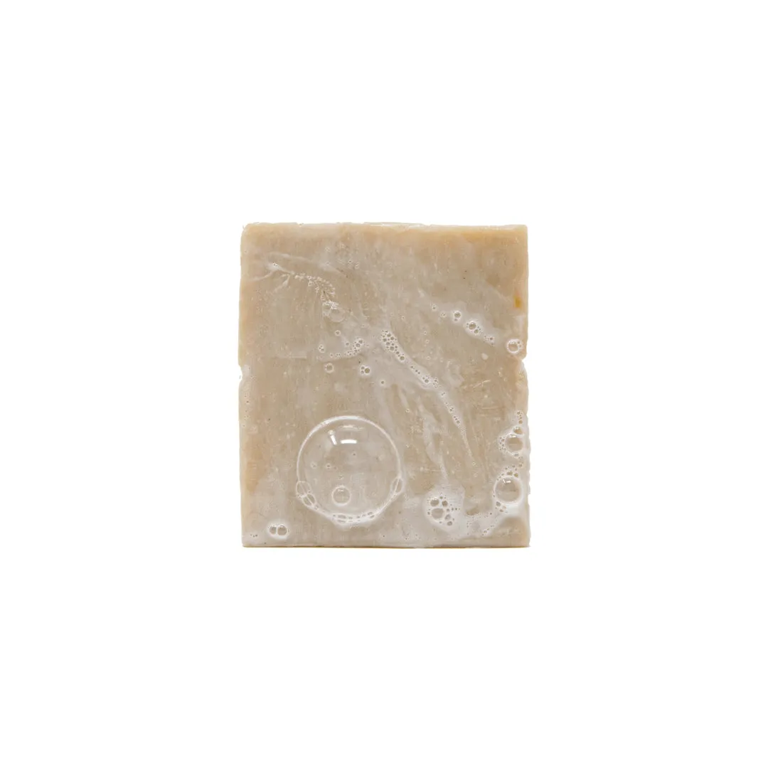 Mens Soap Set - Coconut Castaway   Grapefruit IPA   Wood Barrel Bourbon   Cedarwood Soap Saver <br>Dr. Squatch