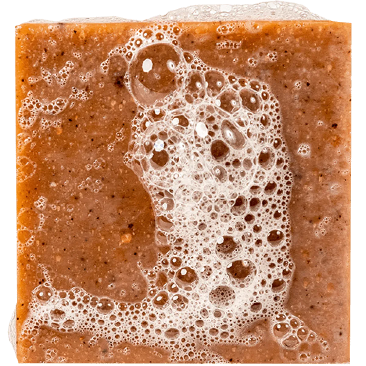 Mens Soap Set - Coconut Castaway   Grapefruit IPA   Wood Barrel Bourbon   Cedarwood Soap Saver <br>Dr. Squatch